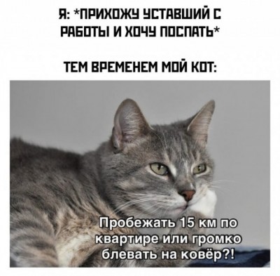 15.jpg (76.74 КБ) 3505 просмотров 15.jpg