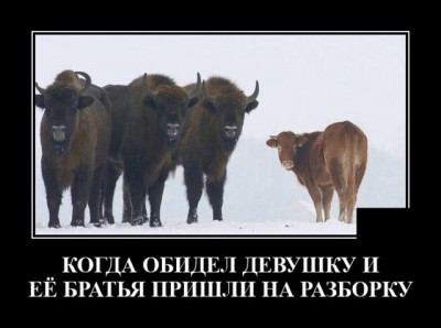 11.jpg (48.06 КБ) 3413 просмотров 11.jpg