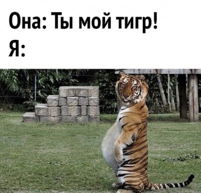 15.jpg (110.69 КБ) 3232 просмотра 15.jpg