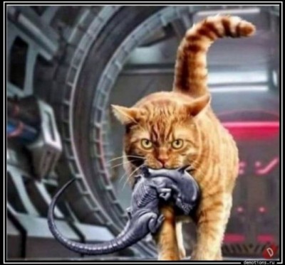 11.jpg (81.7 КБ) 3161 просмотр 11.jpg