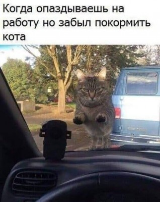 13.jpg (45.45 КБ) 3021 просмотр 13.jpg