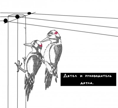 14.jpg (51.08 КБ) 3021 просмотр 14.jpg