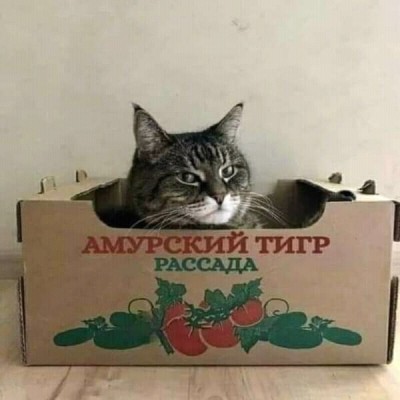 11.jpeg (60.14 КБ) 2712 просмотров 11.jpeg