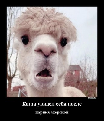 13.jpg (123.08 КБ) 2710 просмотров 13.jpg