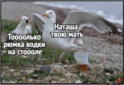 13.jpg (94.13 КБ) 2622 просмотра 13.jpg