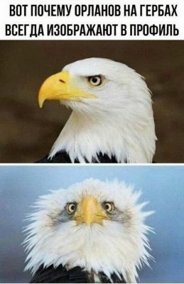 19.jpg (74.75 КБ) 3742 просмотра 19.jpg