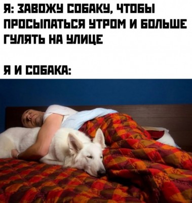 17.jpg (83.05 КБ) 3742 просмотра 17.jpg