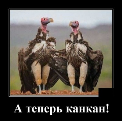 12.jpg (66.44 КБ) 3674 просмотра 12.jpg