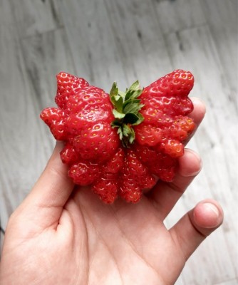 14.jpeg (75.09 КБ) 3543 просмотра 14.jpeg