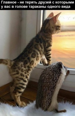 15.jpg (92.52 КБ) 3528 просмотров 15.jpg