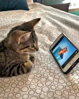 13.jpeg (84.35 КБ) 3525 просмотров 13.jpeg