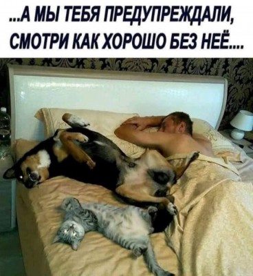 15.jpg (106.2 КБ) 3457 просмотров 15.jpg