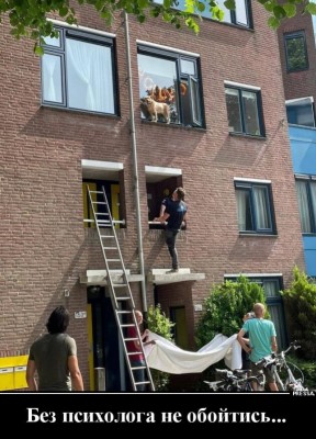 12.jpg (117.61 КБ) 3227 просмотров 12.jpg