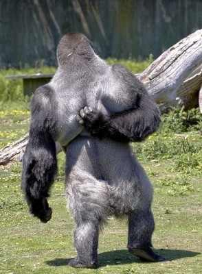 16.jpg (124.95 КБ) 3438 просмотров 16.jpg