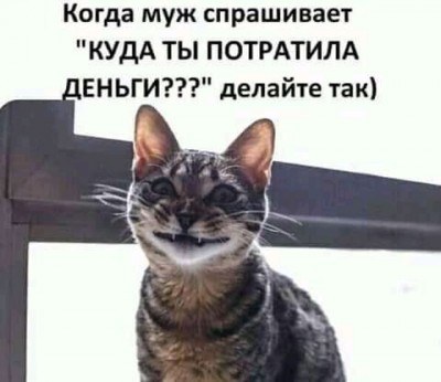 19.jpg (25.46 КБ) 3301 просмотр 19.jpg