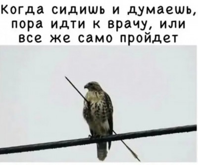 13.jpg (39.76 КБ) 3300 просмотров 13.jpg