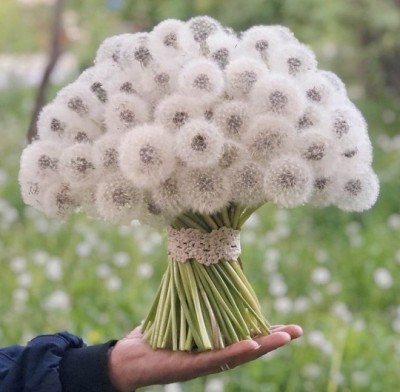 13.jpeg (68.41 КБ) 3105 просмотров 13.jpeg