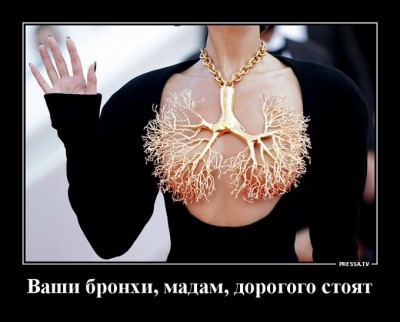 13.jpg (89.58 КБ) 3611 просмотров 13.jpg