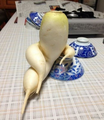 11.jpg (113.9 КБ) 3340 просмотров 11.jpg