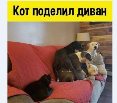 15.jpg (65.21 КБ) 3378 просмотров 15.jpg