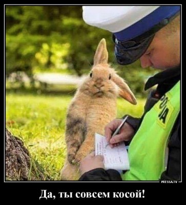 12.jpg (68.24 КБ) 3243 просмотра 12.jpg