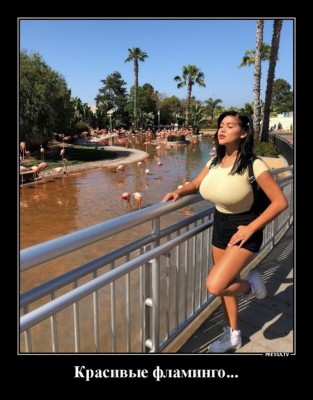 12.jpg (85.44 КБ) 3134 просмотра 12.jpg