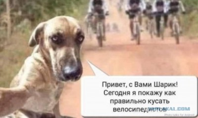 16.jpg (44.44 КБ) 3134 просмотра 16.jpg