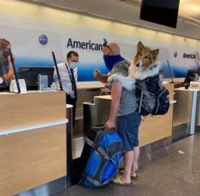 12.jpg (98.6 КБ) 3168 просмотров 12.jpg