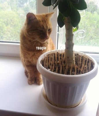 15.jpg (94.96 КБ) 3079 просмотров 15.jpg