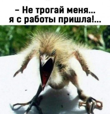 16.jpg (78.38 КБ) 3007 просмотров 16.jpg