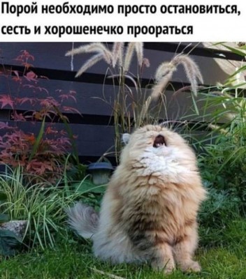 16.jpg (119.67 КБ) 3720 просмотров 16.jpg