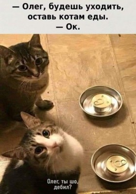 15.jpg (48.38 КБ) 3635 просмотров 15.jpg