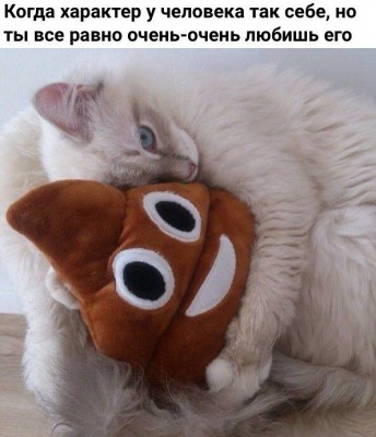 16.jpg (82.55 КБ) 3635 просмотров 16.jpg