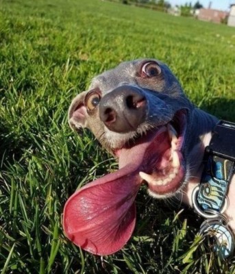 15.jpg (88.39 КБ) 3611 просмотров 15.jpg