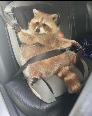 15.jpg (74.95 КБ) 3544 просмотра 15.jpg