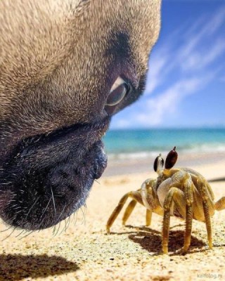 11.jpg (62.04 КБ) 3339 просмотров 11.jpg