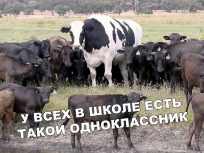 12.jpg (111.55 КБ) 3223 просмотра 12.jpg