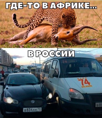 14.jpg (115.83 КБ) 4483 просмотра 14.jpg