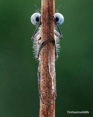 12.jpg (104.08 КБ) 4442 просмотра 12.jpg