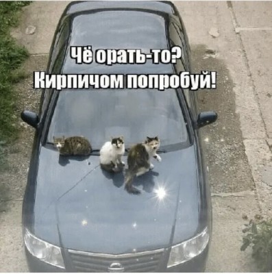 19.jpg (100.88 КБ) 4441 просмотр 19.jpg