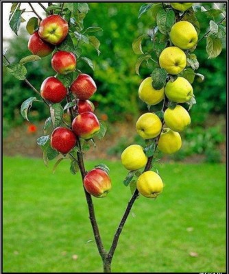 13.jpg (82.26 КБ) 4075 просмотров 13.jpg