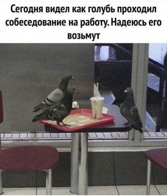 17.jpg (109.95 КБ) 4075 просмотров 17.jpg