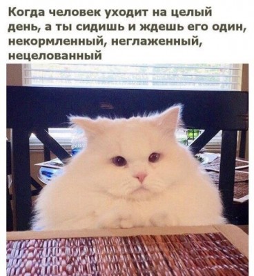 16.jpg (111.19 КБ) 3950 просмотров 16.jpg