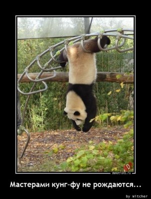 14.jpg (89.96 КБ) 3951 просмотр 14.jpg