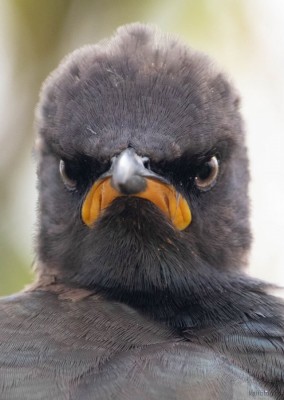 11.jpg (122.51 КБ) 4695 просмотров 11.jpg