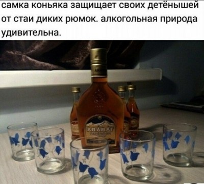 14.jpg (72.49 КБ) 4694 просмотра 14.jpg