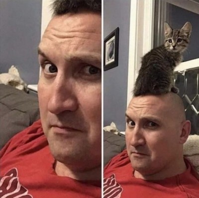 11.jpg (103.38 КБ) 4494 просмотра 11.jpg