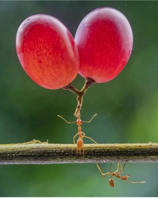 14.jpg (79.34 КБ) 4332 просмотра 14.jpg