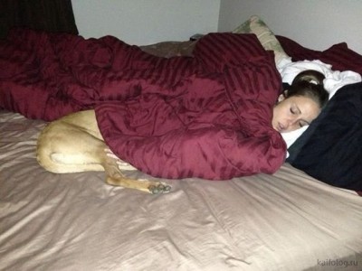 11.jpg (62.96 КБ) 4073 просмотра 11.jpg