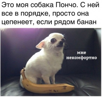 14.jpg (75.56 КБ) 4137 просмотров 14.jpg